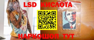 Альфа ПВП Гатчина