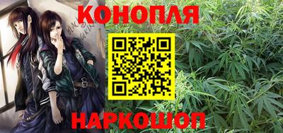 Альфа ПВП Гатчина