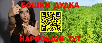 Альфа ПВП Гатчина