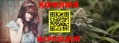 Альфа ПВП Гатчина