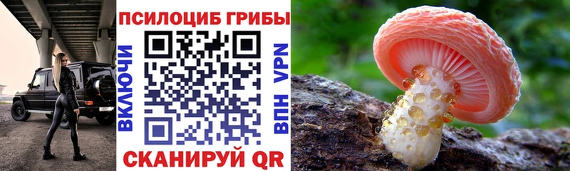 Псилоцибиновые грибы прущие грибы  darknet телеграм  Сафоново  кракен онион 